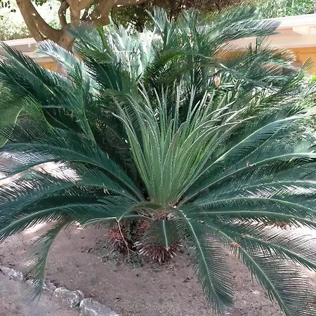 Ośrodek wypoczynkowy Villaggio Athragon