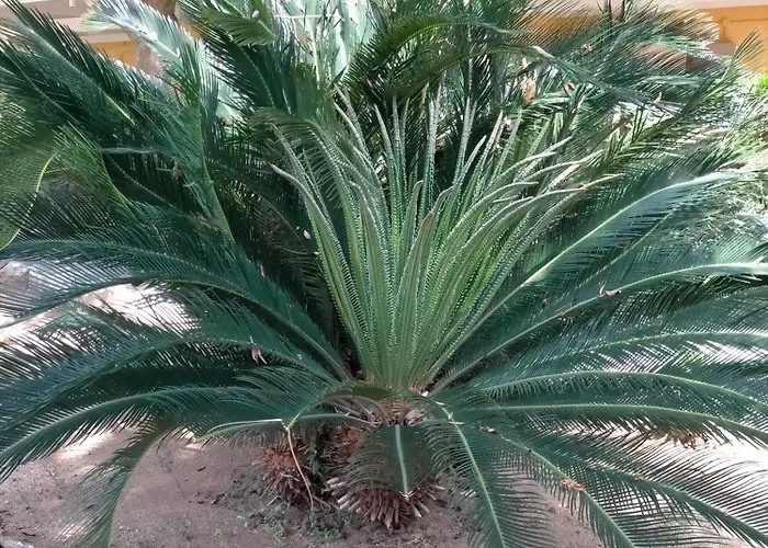 אתר נופש Villaggio Athragon